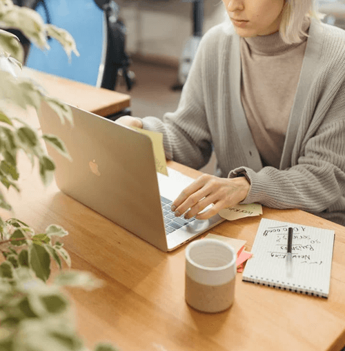 Selim Valexor equipo de apoyo ilustración